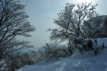 鶴見岳の積雪