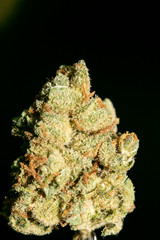 Cannabis macro in black background fifty megapixels prints © BakalaeroZz