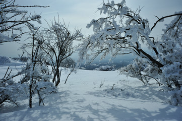 鶴見岳の積雪