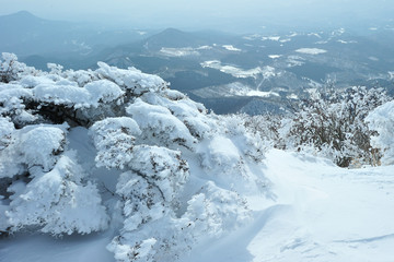 Fototapeta na wymiar 鶴見岳の積雪