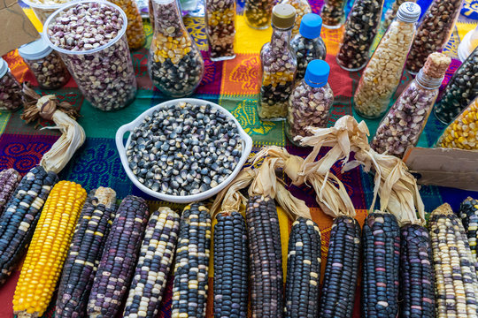 En la mesa se presenta la gran diversidad del ma&iacute;z mexicano.