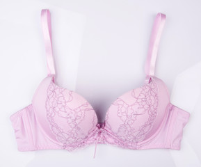 bra or violet colour bra on white background