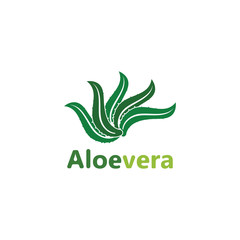 Aloe vera logo vector illustration template design