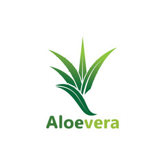 Aloe vera logo vector illustration template design