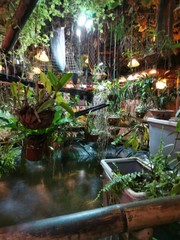 Beautiful indoor garden with dim lights indoor decoration in Kota Kinabalu, Sabah. Borneo, The Land Below The Wind.