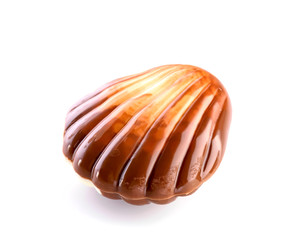 Belgian seashell traditional chocolate candy close-up isolated on white background 