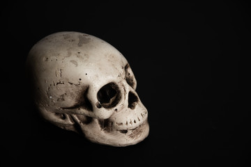 human skull on black background