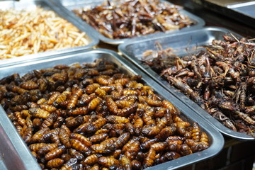 Stall that selling bugs and insect at Lijiang. 