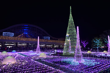 フローランテのイルミネーション