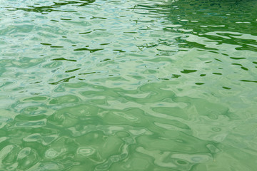 Reflections on a surface of a water