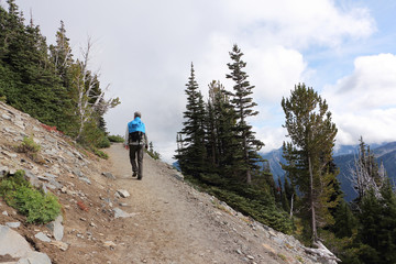 Fototapeta premium Man climbing a mountain trail near Mount Rainier, Washington State, USA