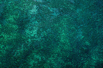 Decorative Grainy beautiful green Stucco Wall Background. Stylized Texture Banner With Space For Text