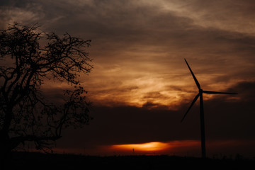 Silhouette of the tree and the windmill during the sunset