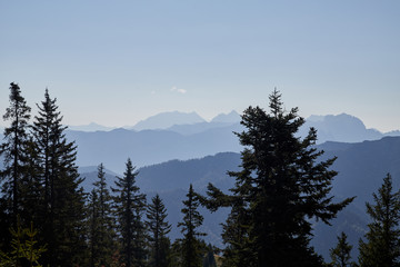 Mountain peaks visible through the trees on a good summer day