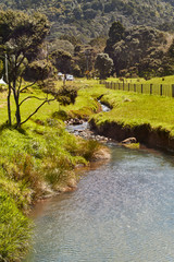 Scenes around Huia and little Huia, West Titirangi, Auckland, New Zealand.