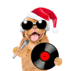 Funny puppy wearing a red christmas hat with earphones and sunglasses holds vinyl record and microphone. Isolated on white background