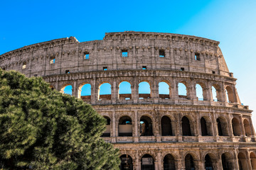 Obraz premium Sunny Day near the Colosseo Ruins, Rome, Italy