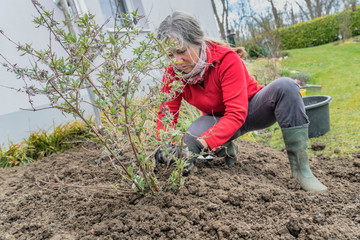 Gartenarbeit in der kalten Jahreszeit
