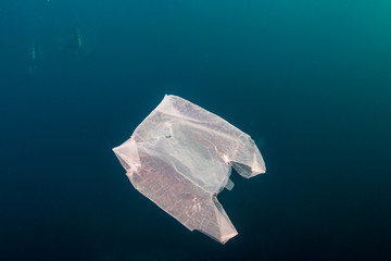 Plastic Pollution in the Ocean - A discarded plastic bag drifting underwater in a tropical ocean