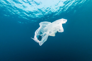 Plastic Pollution in the Ocean - A discarded plastic bag drifting underwater in a tropical ocean