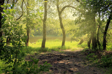 Fototapeta na wymiar A natural blurred landscape of the river in summer. Central Russia. Defocused.