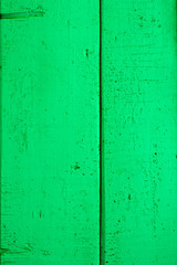 Wood texture, wood background. green tree background
