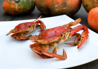 Sea food - boiled red crab on a white background