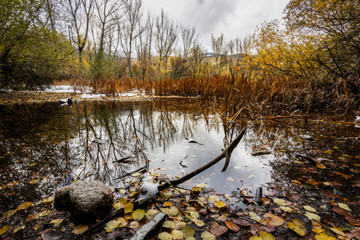 Lake during Christmas. Postcard scene of a lake with snow during the fall of autumn and the arrival of winter. Trees relfection in the lake.