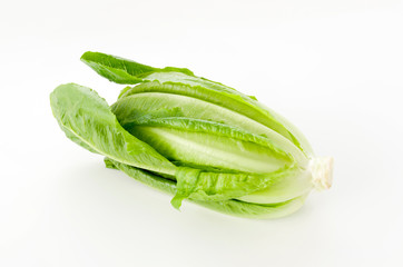 ロメインレタス