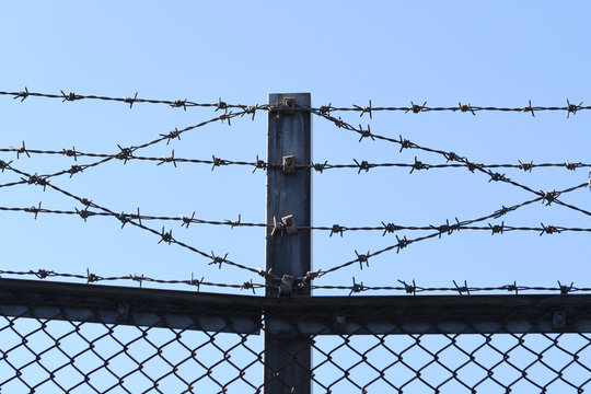 1 006 Best 有刺鉄線 Images Stock Photos Vectors Adobe Stock