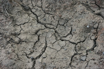 Dry soil