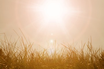 Sunrise with early morning glare