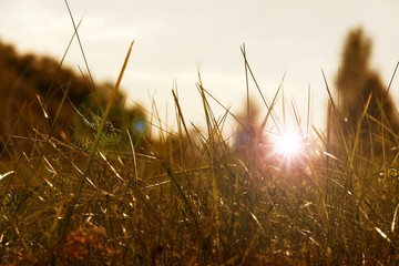 Sunrise with early morning glare