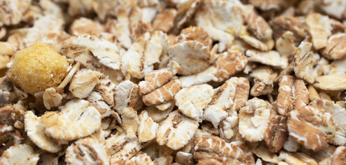 Close-up of oat flakes texture. Healthy breakfast food background with selective focus. Banner horizontal format