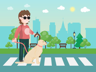 Fototapeta premium Blind man with guide dog on zebra crossing vector illustration. Blindman in sunglasses with cane and his doggy