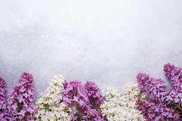 Foto op Aluminium Takken van paarse lila op stenen achtergrond. Romantische lentestemming. Bovenaanzicht. Kopieer voor uw tekst - Afbeelding © lizaelesina