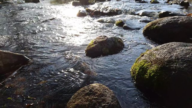 Rzeka
