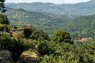 Obraz premium Summer landscape in Irpinia, Southern Italy