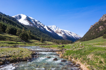 Fototapeta na wymiar River in Caucasus Mountains. Karachay-Cherkessia republic, Russia