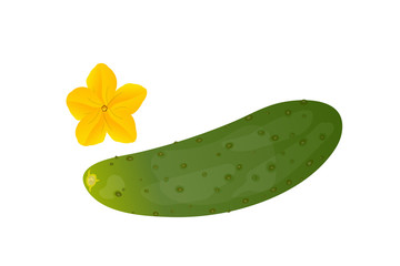 Cucumbers and yellow flower.