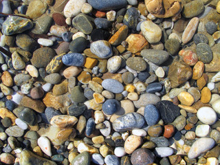Wet different sea pebbles on the beach