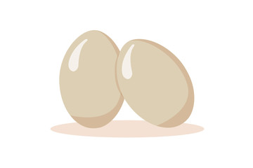 two whole eggs in shell on white background. flat design