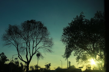 atardecer