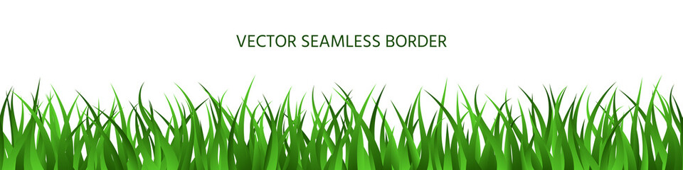 Green grass seamless border backdrop summer banner