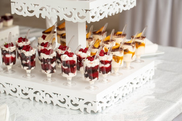 Many servings of sweet tasty dessert on buffet. sweet buffet table.