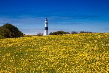 Fototapeta na wymiar Rotes Kliff lighthouse, near Kampen, Sylt, Schleswig-Holstein, Germany,