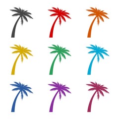 Obraz premium Palm tree color icon set isolated on white background