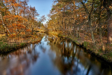 Piasnica river, Poland, autumn day