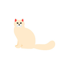 Основные RGB