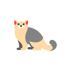 Основные RGB